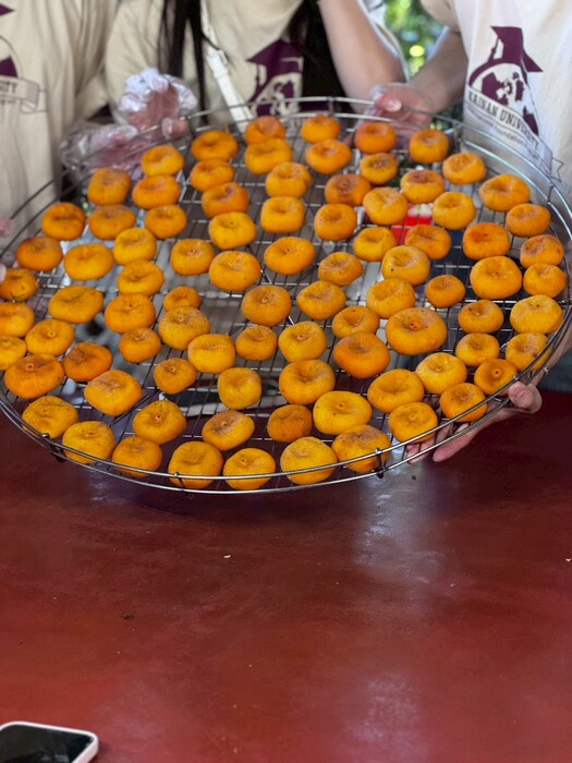 Cultural Tour of the International Foundation Program, 1141Image