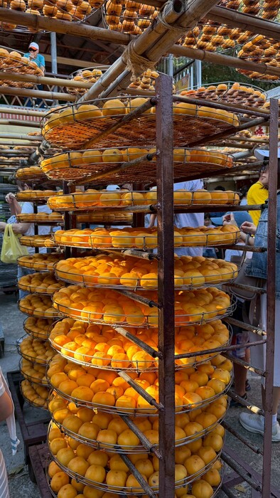 Cultural Tour of the International Foundation Program, 1141Image