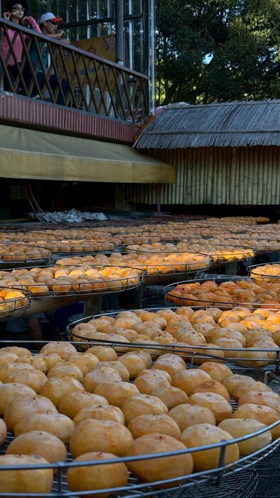 1141 Chuyến Tham Quan Văn Hóa - Văn phòng Quốc Tế图片