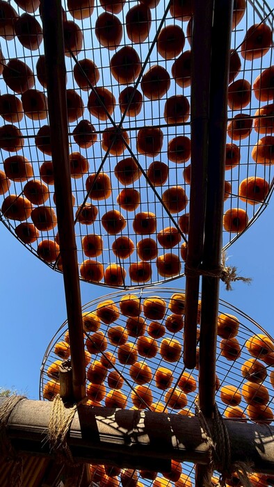 1141 Chuyến Tham Quan Văn Hóa - Văn phòng Quốc Tế图片