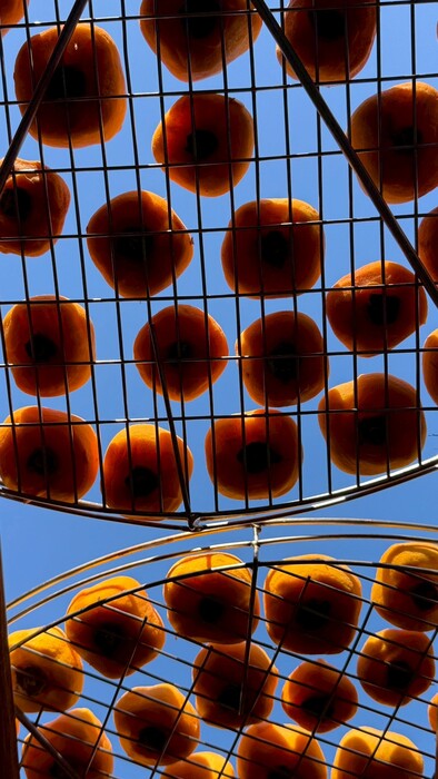 1141 Chuyến Tham Quan Văn Hóa - Văn phòng Quốc Tế图片