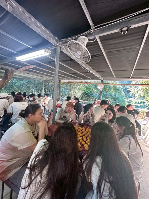 1141 國際專修部 文化之旅圖片